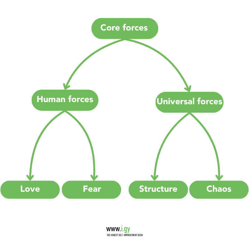 Human forces love and fear and universal forces structure and chaos