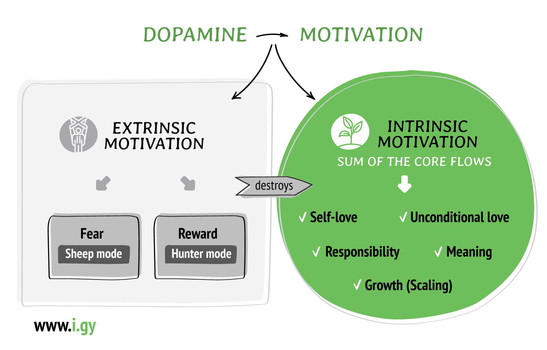 Motivation, extrinsic and intrinsic motivation, dopamine, core Flows