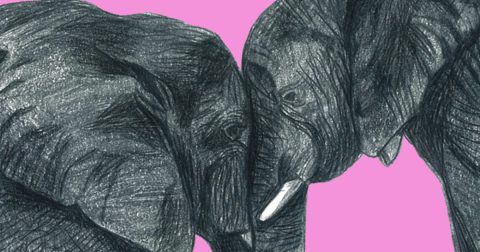 love without expectations