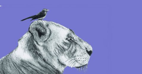 life a game of expectations vs reality