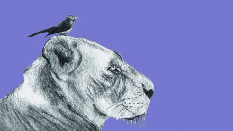 life a game of expectations vs reality