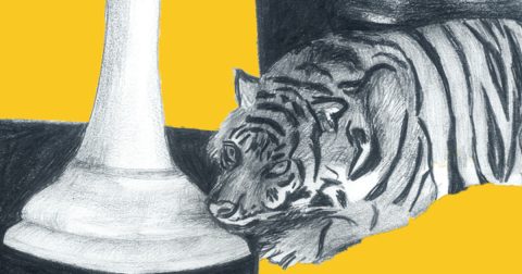 inertia and feeling stuck in life