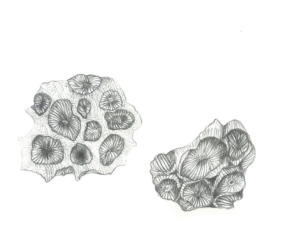 structure