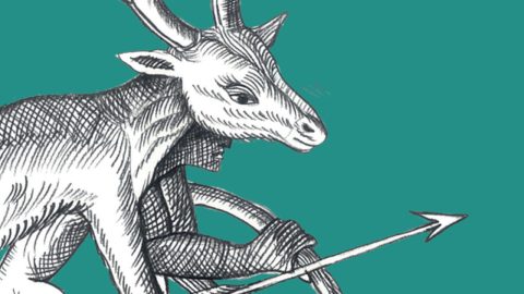 Trap words – How language use affects us