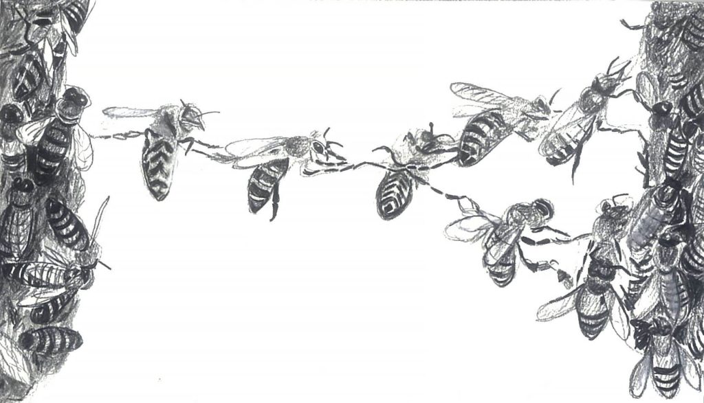 hire people to free time