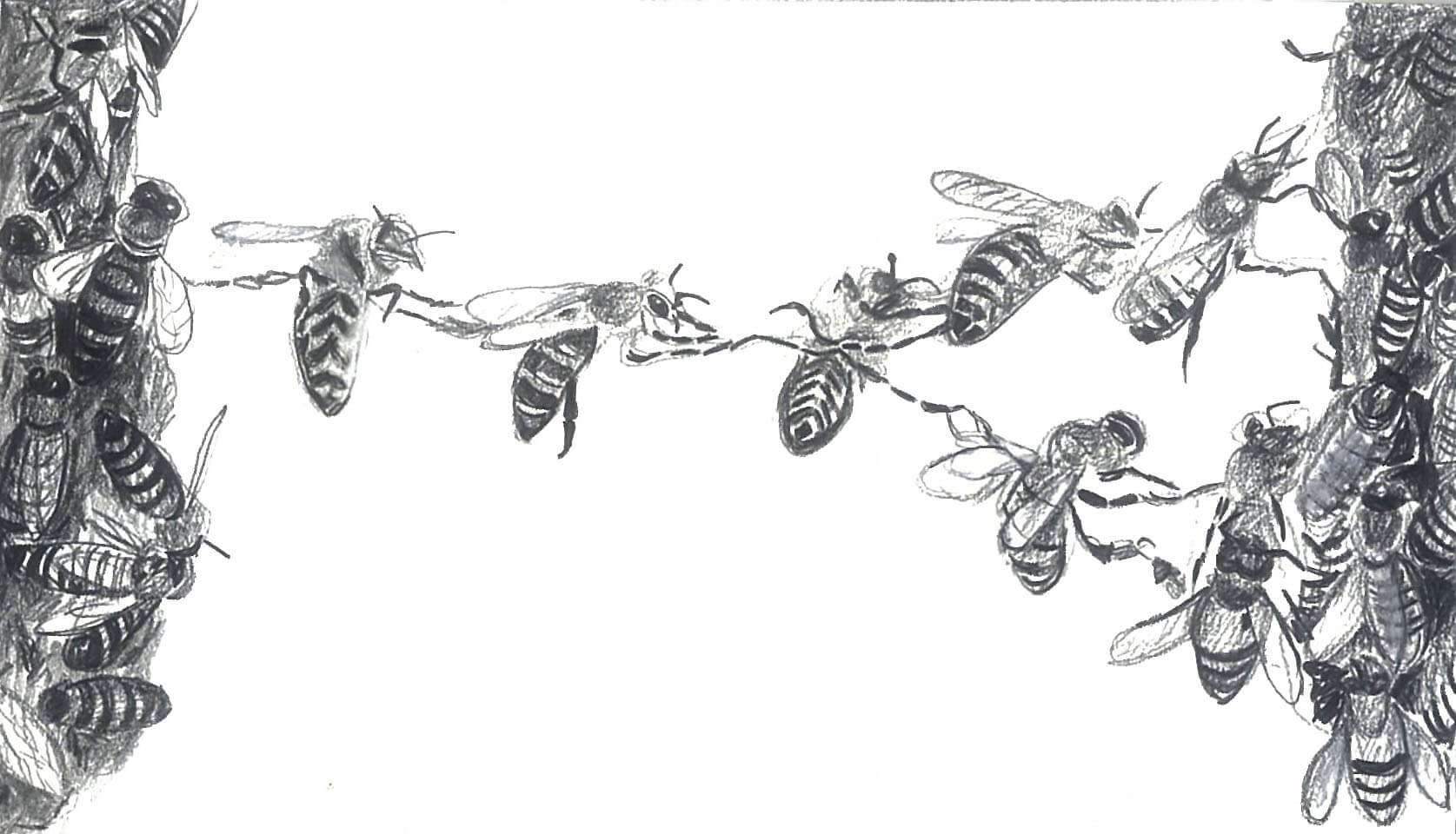 hire people to free time