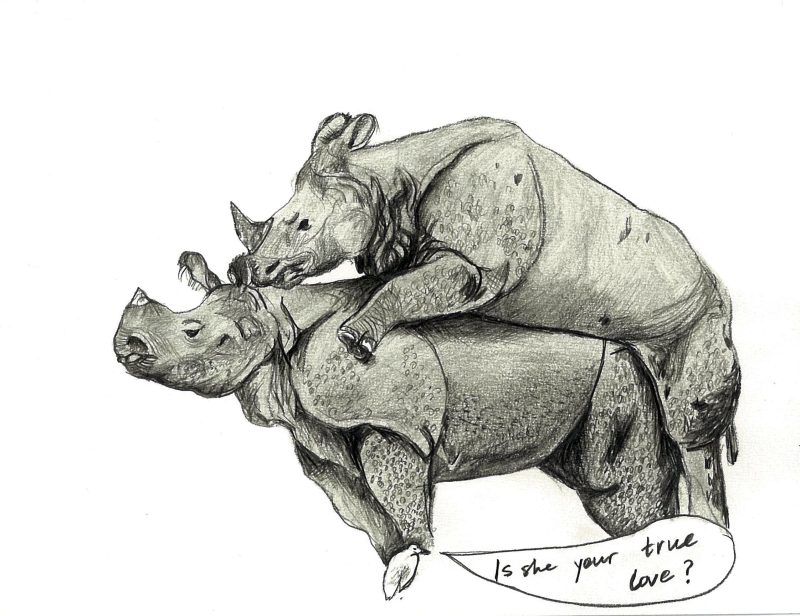 Evolution favors usefulness over objective truth